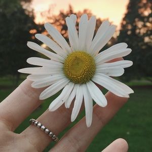 Meet your Posher, Melanie